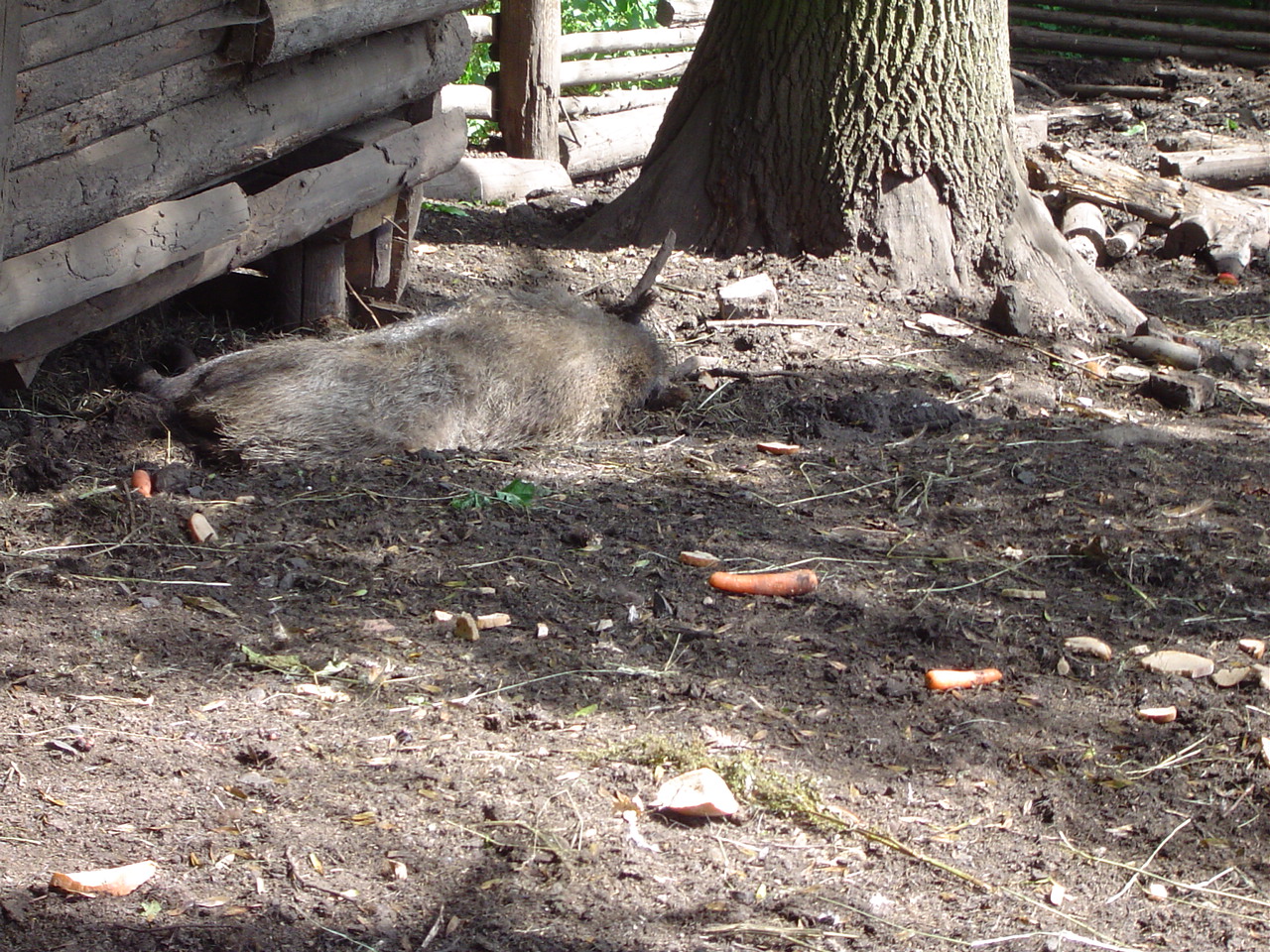 DSC05925.JPG