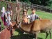 DSC05813.JPG