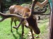 DSC05908.JPG