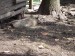 DSC05925.JPG